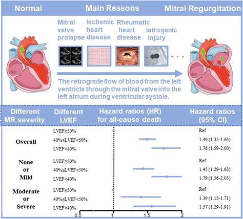 lv cardiology abbreviation|severe Lv impairment.